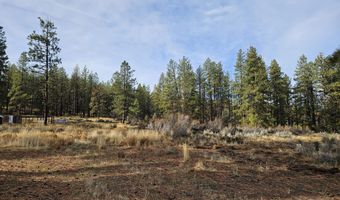 6538 Flamingo Dr, Bonanza, OR 97623