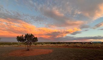 1483 County Road 5270, Concho, AZ 85924