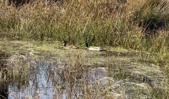 1411 ALDER Ct, Bandon, OR 97411