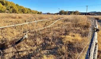 2100 Buckhorn Rd, Alamo, NV 89025