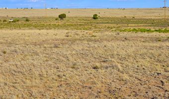 CR 5074 lot 4, Concho, AZ 85924