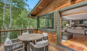 203 Eastwood Dr, Aspen, CO 81611