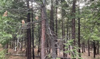 3471 Pocatello Cir, Arnold, CA 95223