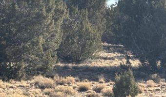 21 Pine Dr, Concho, AZ 85924
