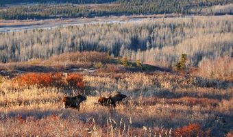 L2 Purinton Creek Trail, Chickaloon, AK 99674
