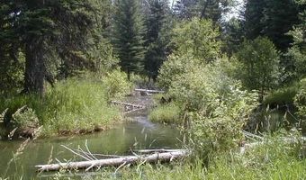 Nhn Old Mill Road, Bigfork, MT 59911