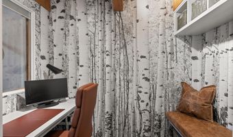 1024 E Cooper Ave 3A, Aspen, CO 81611