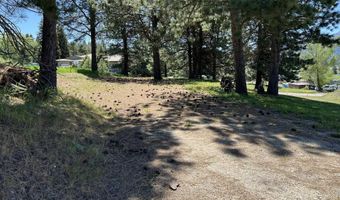 515 Lakeview Dr, Cascade, ID 83611