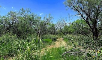 TBD WEST TRACT County Road 356, Anson, TX 79501
