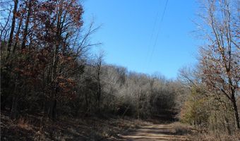 Tract 8 & 9 CR 6012, Berryville, AR 72616