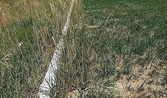 725 Road 6 1/2, Cowley, WY 82420