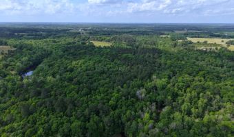 23826 Opine Rd, Andalusia, AL 36421