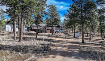 50 Road P78, Bailey, CO 80421