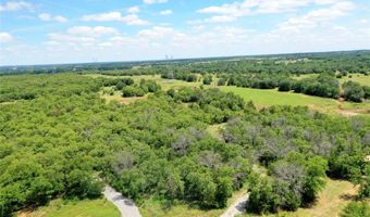 120 Bear Cat Ct, Alvord, TX 76225