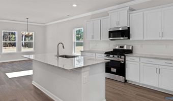 23285 Worchester Ln, Athens, AL 35613