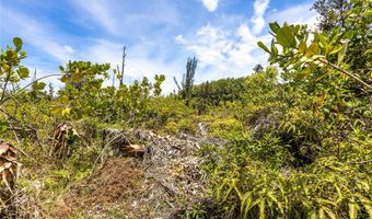 15-925 LEMIWAI Rd, Keaau, HI 96749