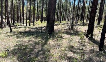 Tbd COUNTY ROAD N2122, Alpine, AZ 85920