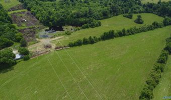 62 Jolley Ln, Albertville, AL 35950