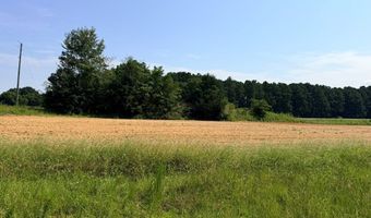 49 Cosby Rd, Ashford, AL 36312