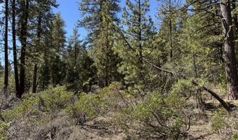 Horned Owl Lane, Bonanza, OR 97623