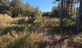 31 Waterside Pt, Abbeville, SC 29620