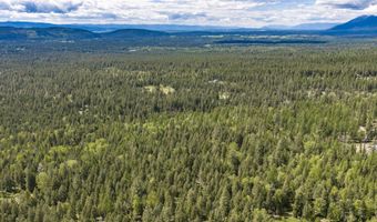 Nhn Red Hawk Drive, Bigfork, MT 59911