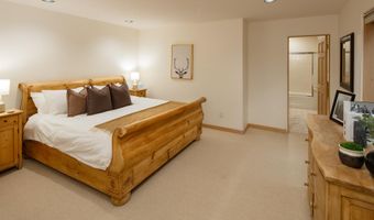 333 W Hopkins Ave, Aspen, CO 81611