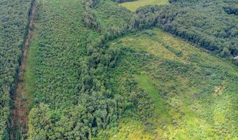62- Acres Grandmas Hill Rd, Amherst, VA 24521