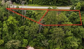 0- B County Road 97, Abbeville, AL 36310
