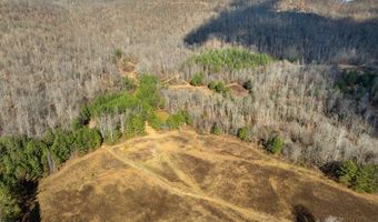 700 Acres Puncheon Creek Ln, Allred, TN 38542