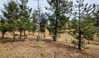 64 Elk Horn Ct, Bailey, CO 80421