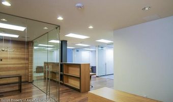 625 E Main St 204, Aspen, CO 81611