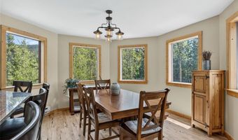 366 Quartzville Rd, Alma, CO 80420