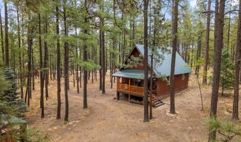 19 Hillcrest Dr, Alpine, AZ 85920