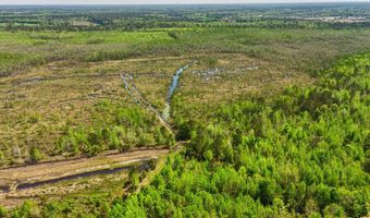 TBD Alligator Road, Bamberg, SC 29843