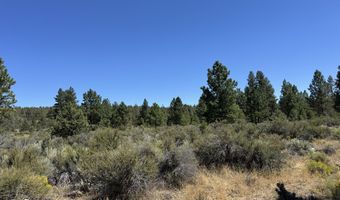 Bufflehead Drive 18, Bonanza, OR 97623