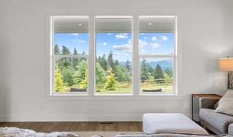 14907 NE 403RD St, Amboy, WA 98601
