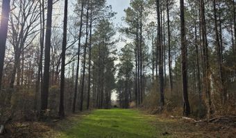 U.S. Highway 51, Bogue Chitto, MS 39629