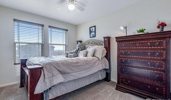 1846 Osprey Dr, Brighton, CO 80601