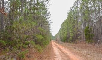 Long Cane Ame Rd, Abbeville, SC 29620