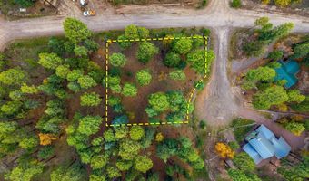 7 2190, Alpine, AZ 85920