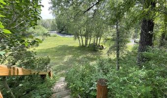 209 Deer Path Ln, Almont, CO 81230