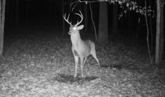 15548 Highway 15 N, Ackerman, MS 39735
