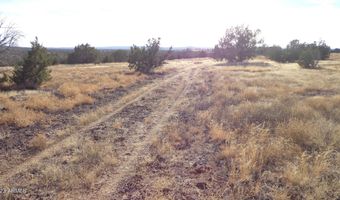 00 N Trackside Trail Ln 211, Ash Fork, AZ 86320