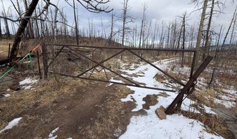 2025 Granite Rd, Bellvue, CO 80512