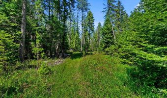 28801 N LEWELLEN CREEK Rd, Athol, ID 83801