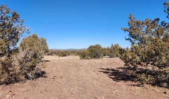 251 Se4 Juniperwood Rnch, Ash Fork, AZ 86320