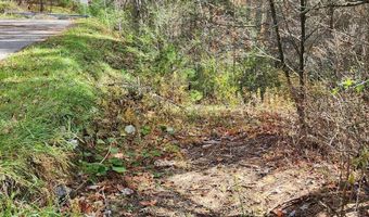 290 Angels Pass Dr Lot 1, Bastian, VA 24314