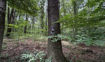 Gun Club Rd, Athens, OH 45701