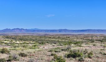 Tract 9 Sierra La Rana, Alpine, TX 79830